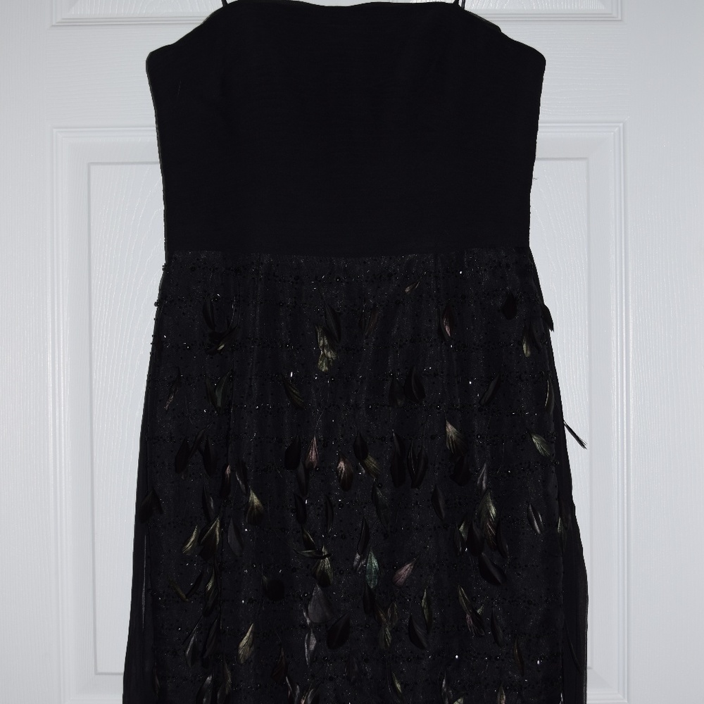 Black Victoria Royal Dress